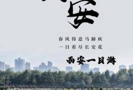 西安|华灯初上便是长安城