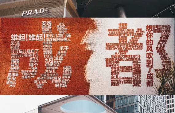 青春岁月成都大熊猫、黄龙溪古镇、网红打卡六日游