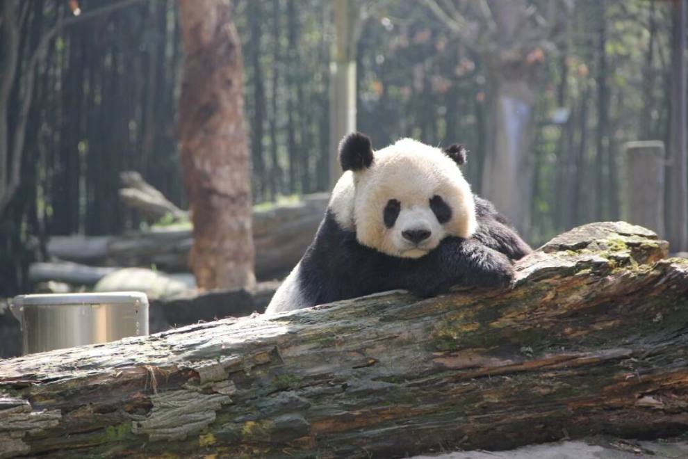 QQ图片20230608112014