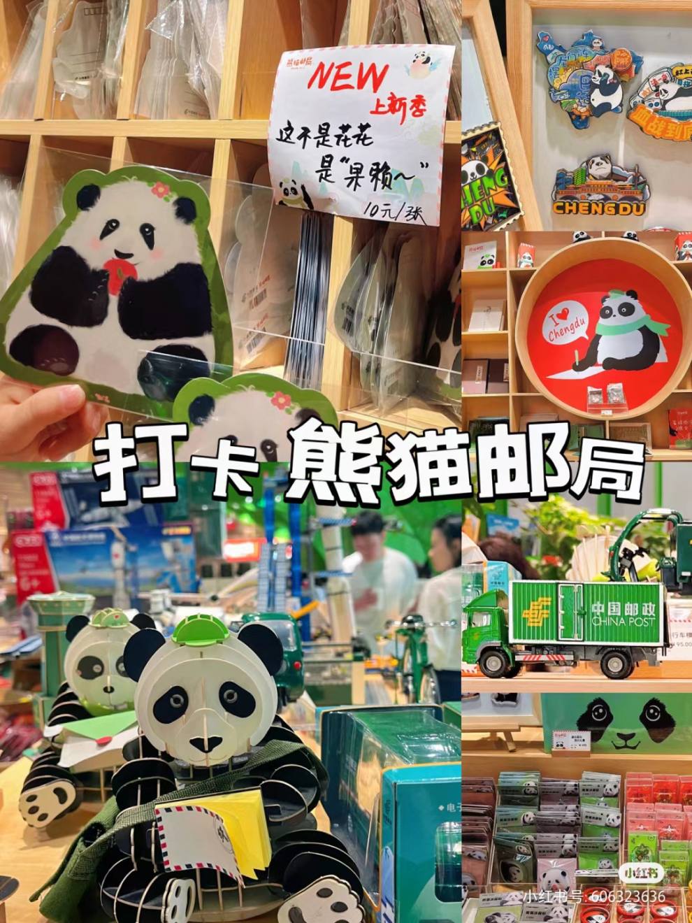 QQ图片20230608150858