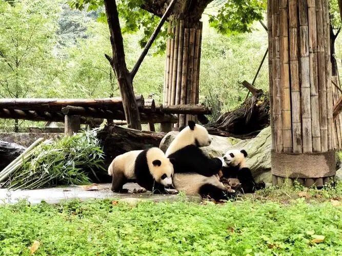 QQ图片20230613194106