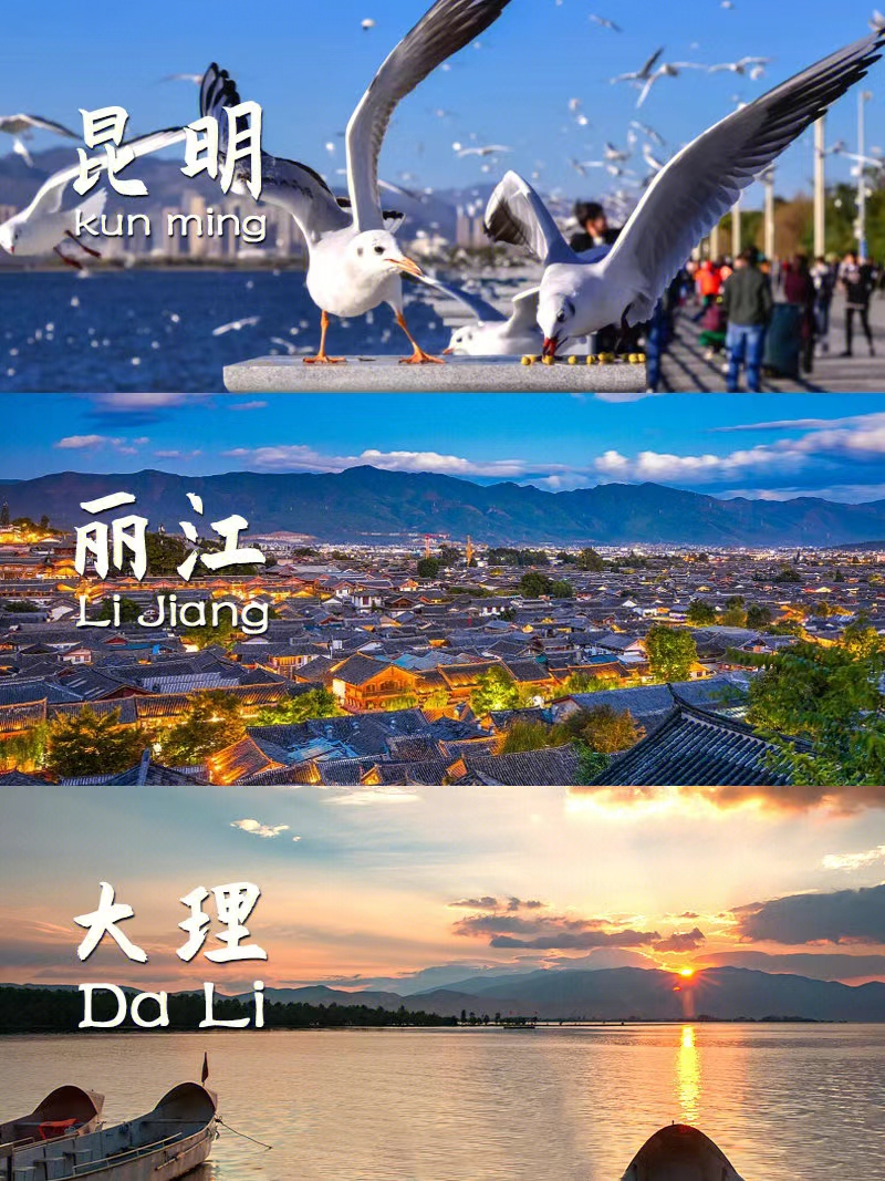 1688797981645