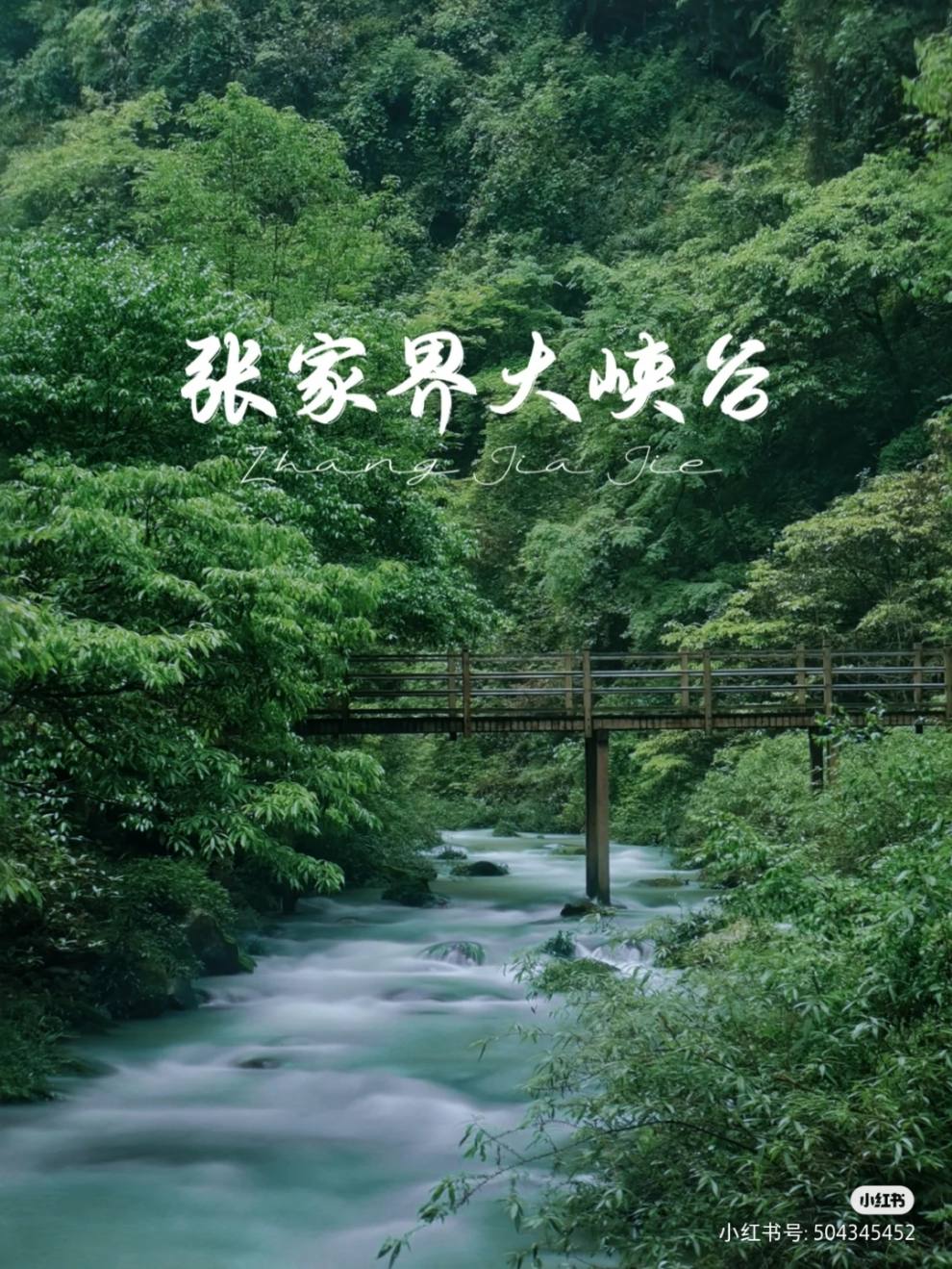 QQ图片20230713163450