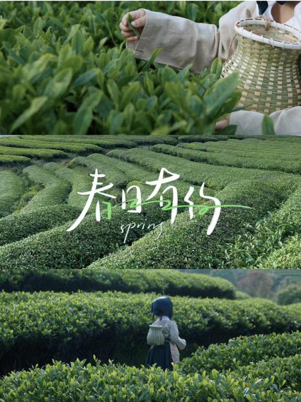 微信图片_20230717152108