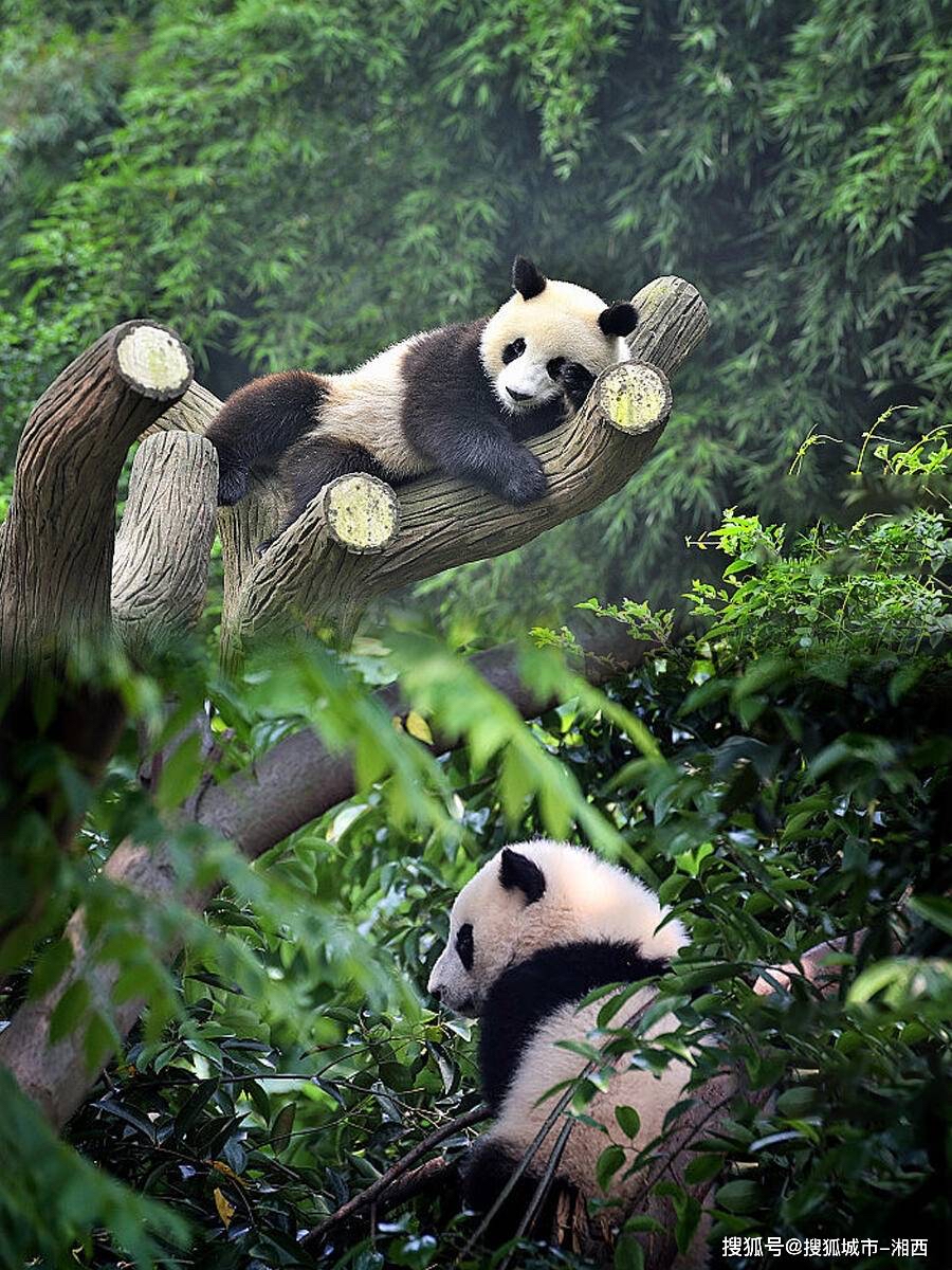 微信图片_20240701153638