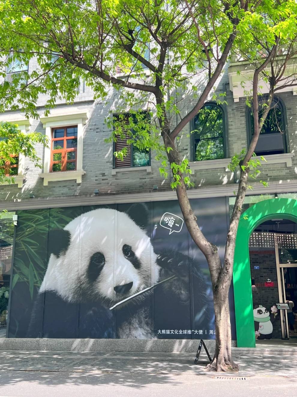 成都 熊猫邮局和熊猫书店 适合买伴手礼！_1_呼啦皮皮_来自小红书网页版