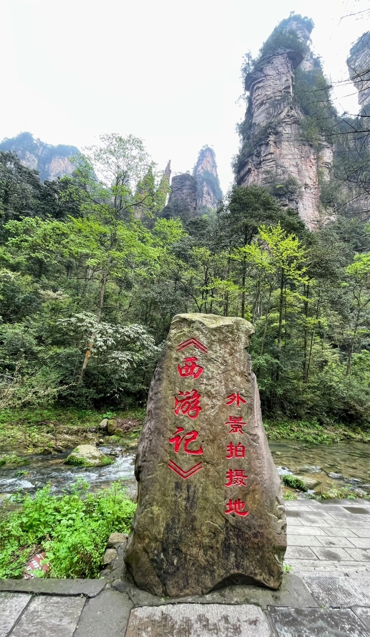 QQ图片20240702162454