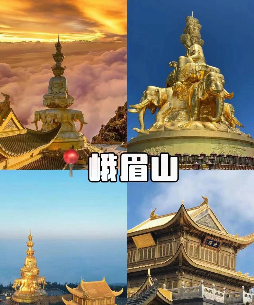 微信图片_20240702155702