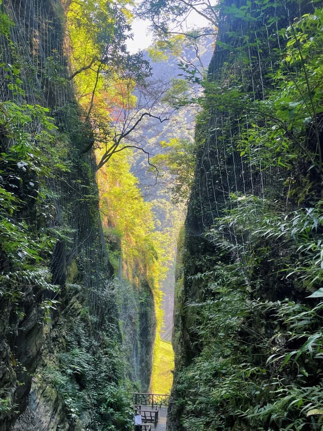 张家界大峡谷A线！看我这篇就够了‼️‼️_2_另一颗蓝