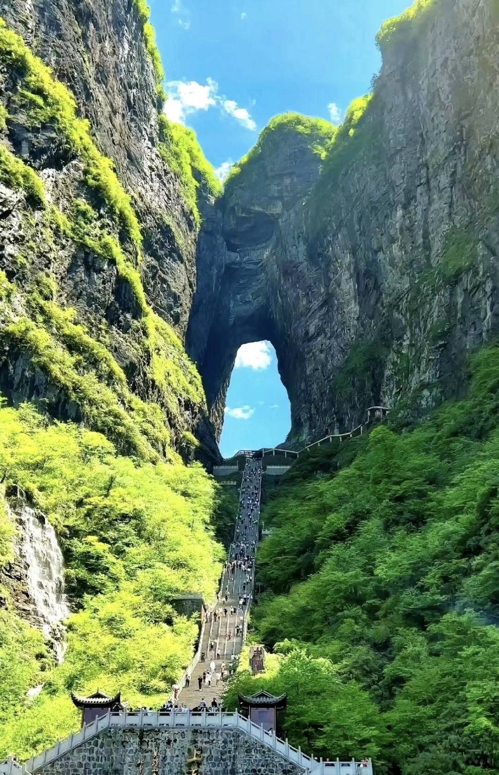 1000007415