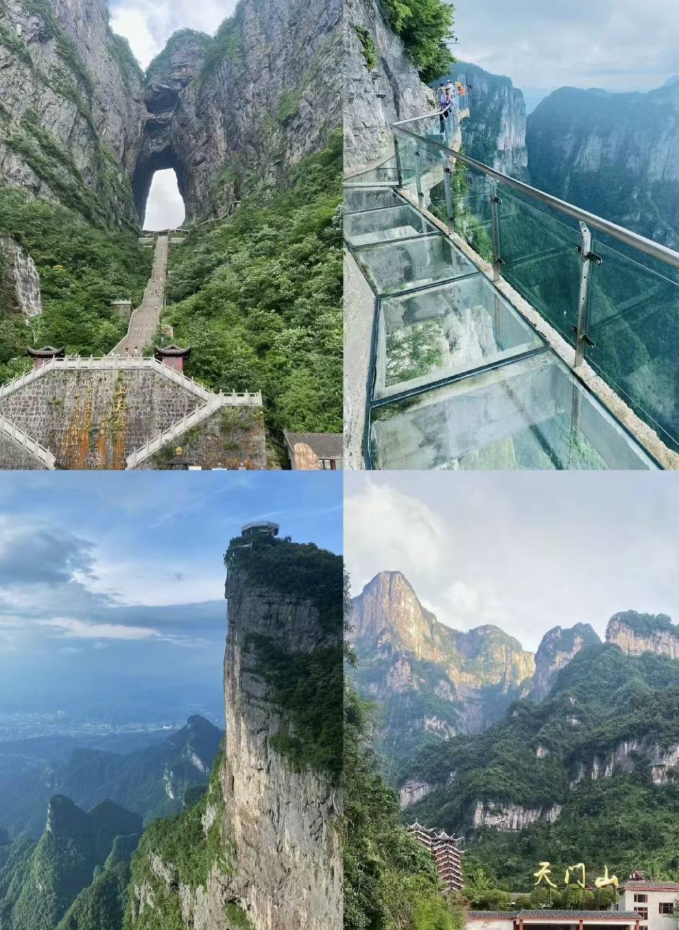 微信图片_20240714200859
