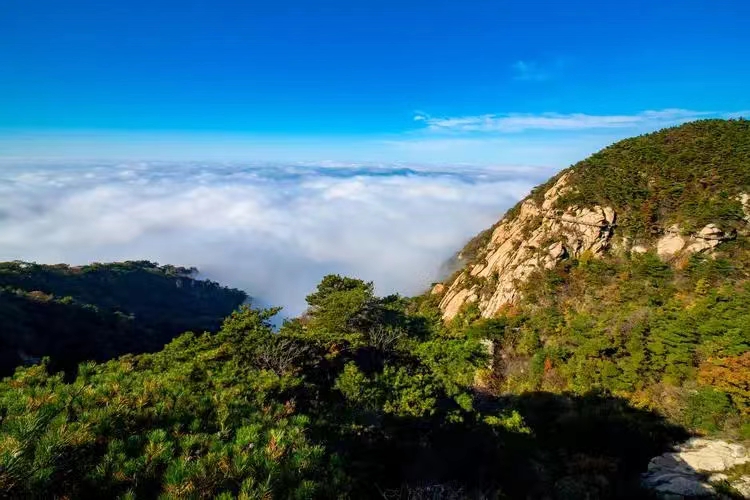 沂蒙山1
