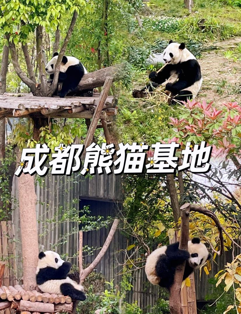 QQ图片20230607103858