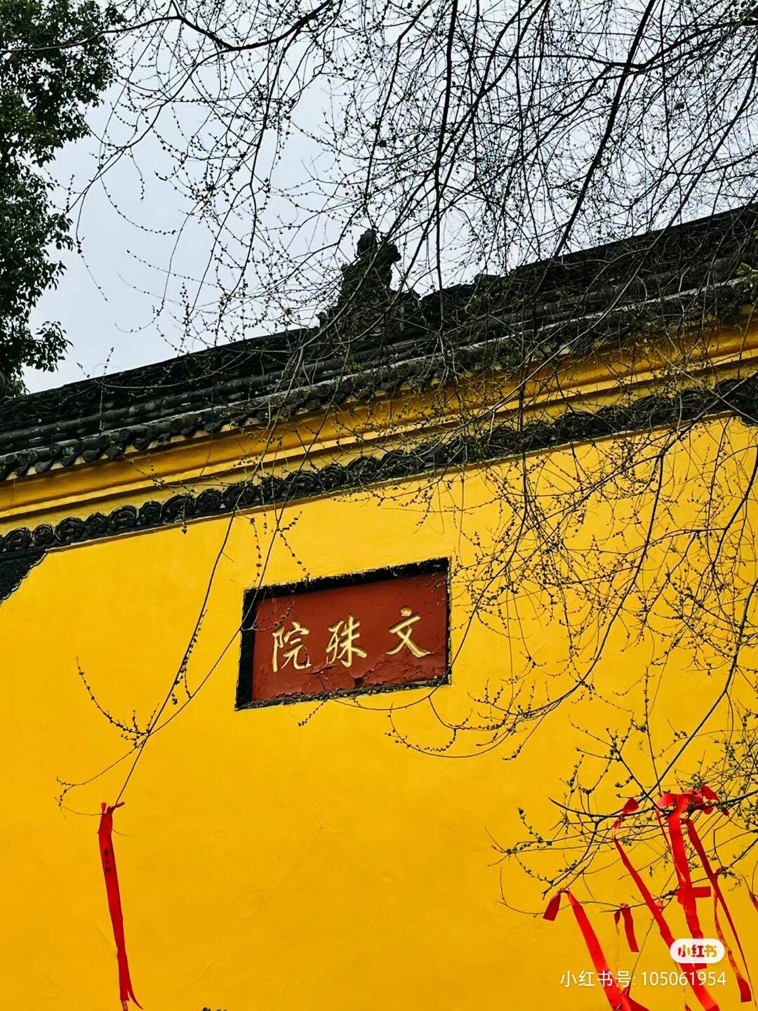 QQ图片20230608151318