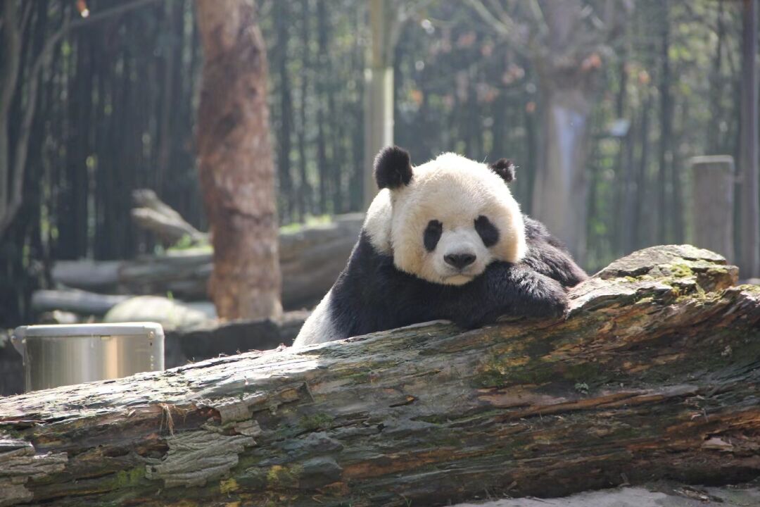 QQ图片20230608112014