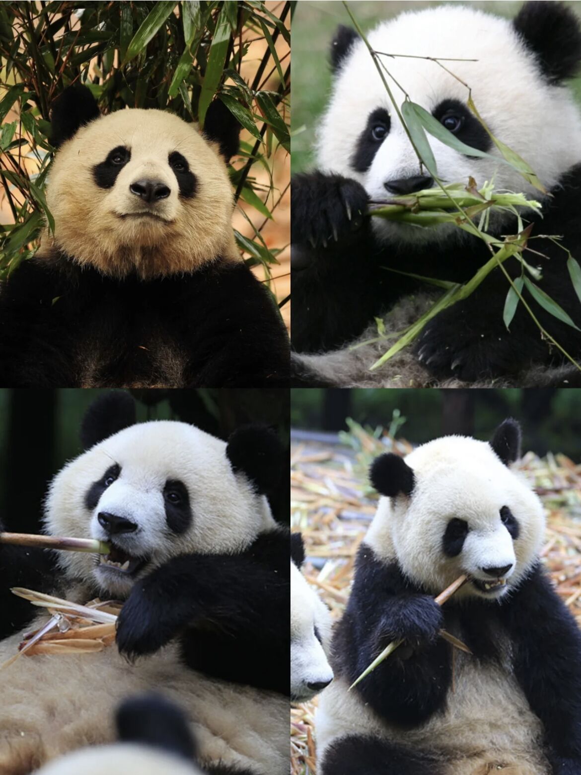 QQ图片20230608145251