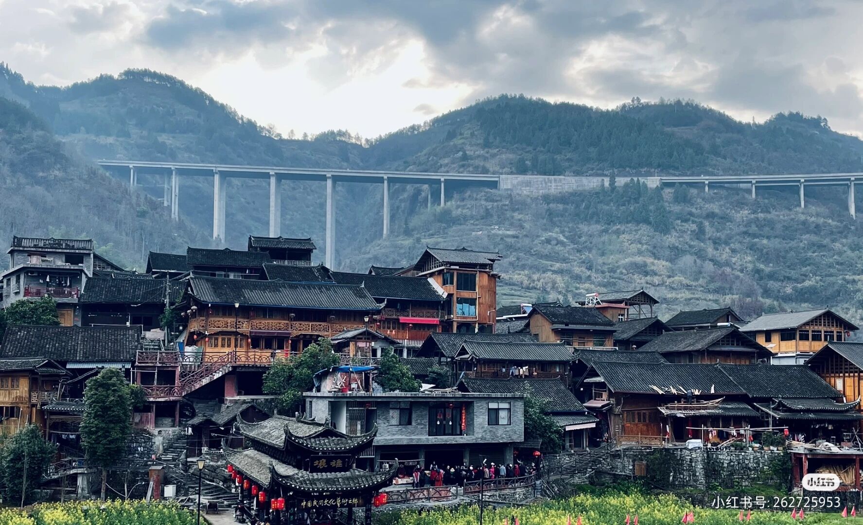QQ图片20230712122158
