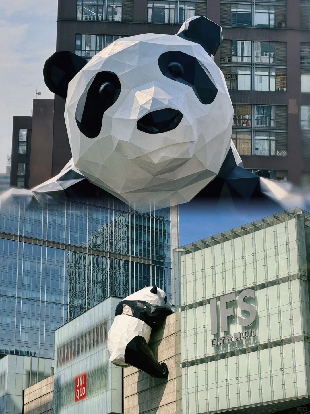 成都亲子行_巴适得板_1_平平无奇的80_来自小红书网页版