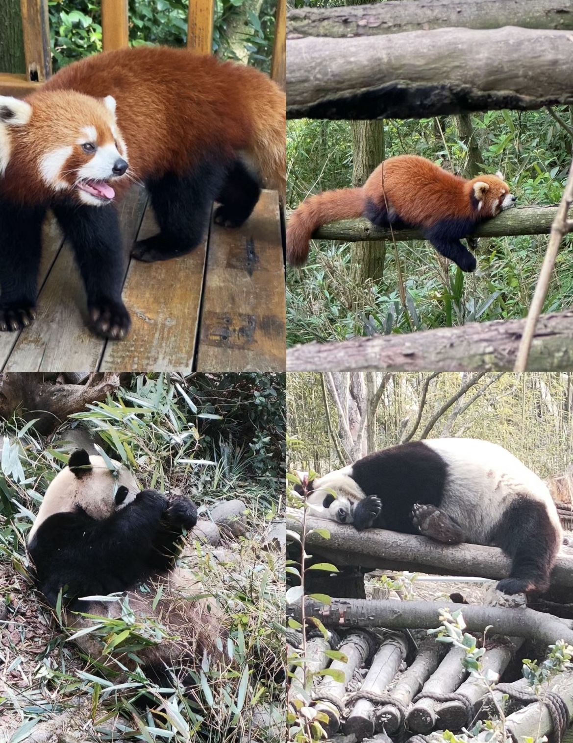 微信图片_20240702091212