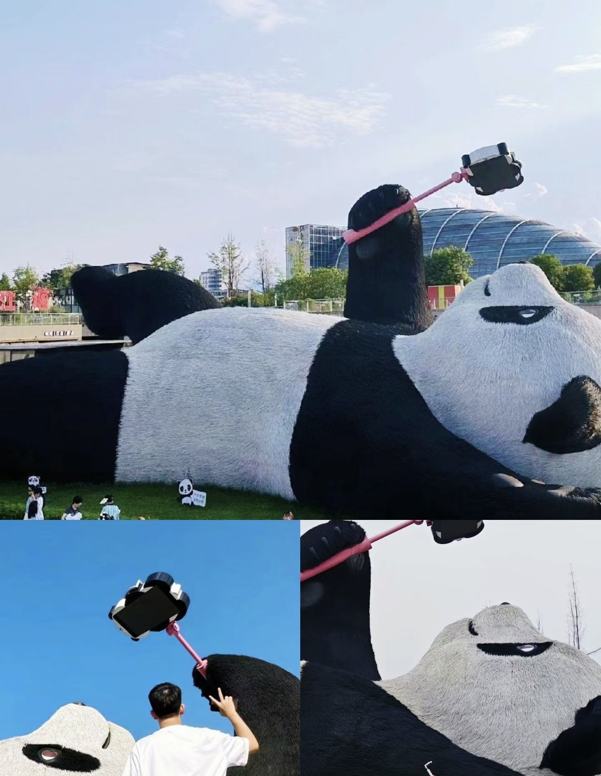 微信图片_20240702091202