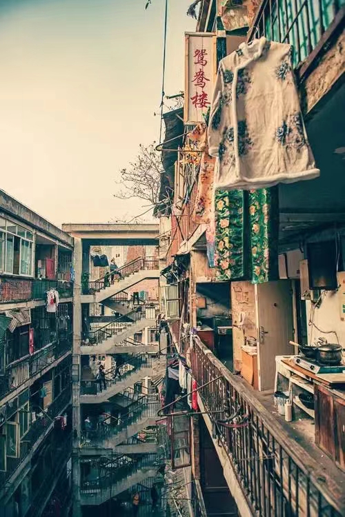 鸳鸯2