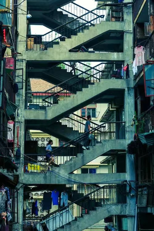 鸳鸯1
