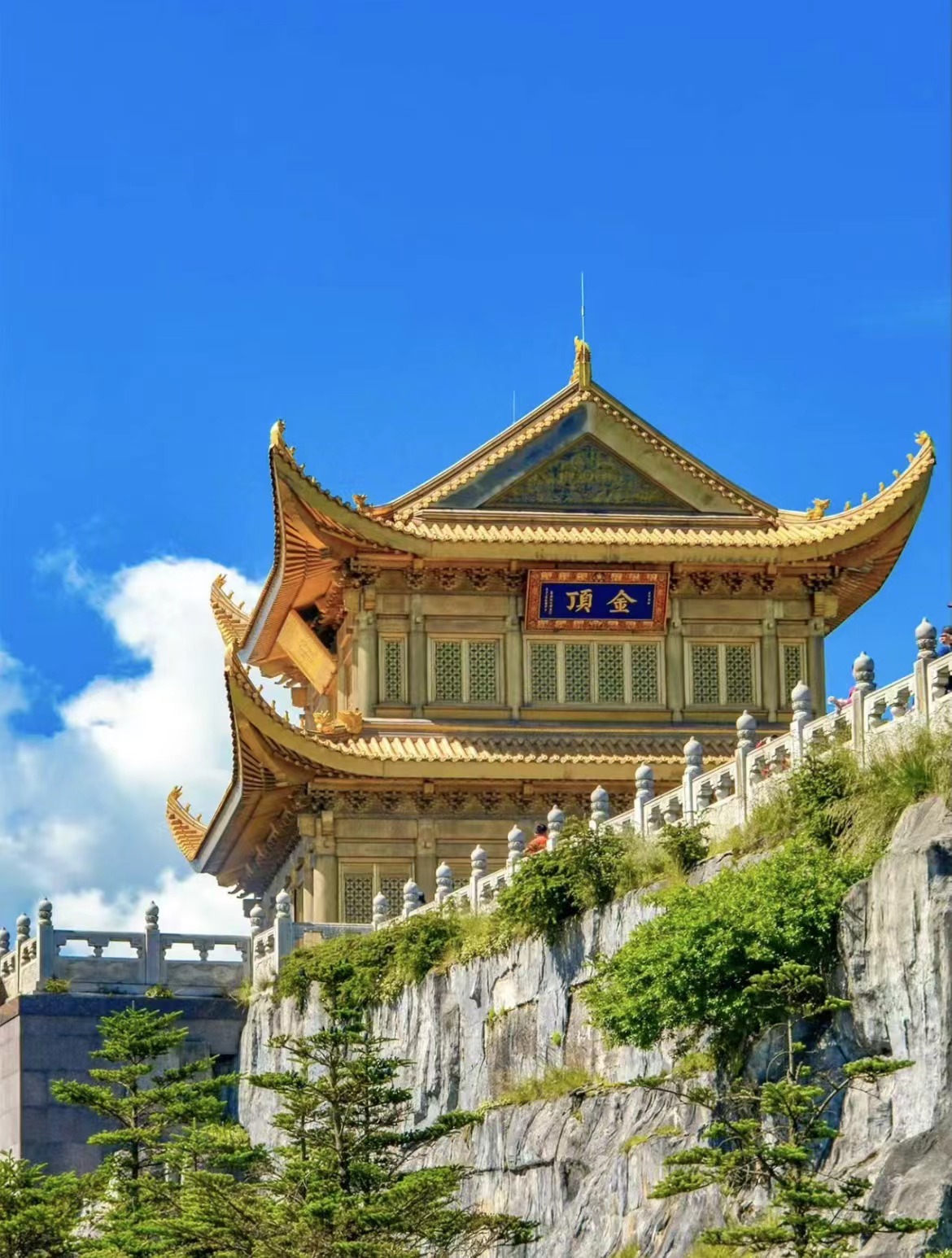 微信图片_20240704093925
