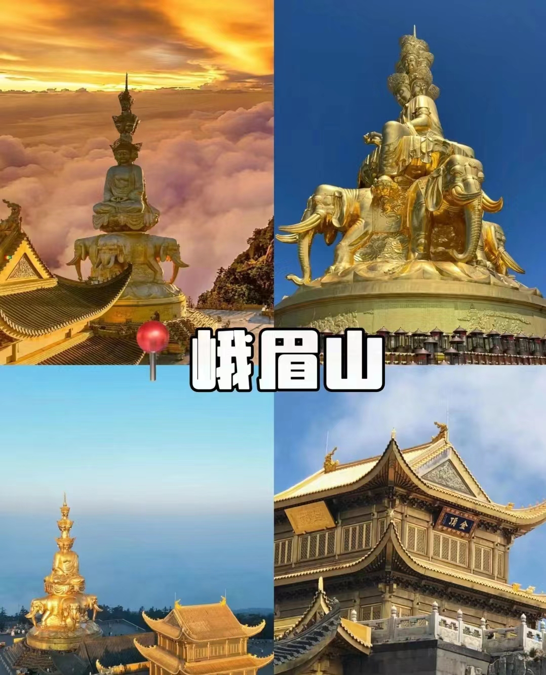 微信图片_20240709090843