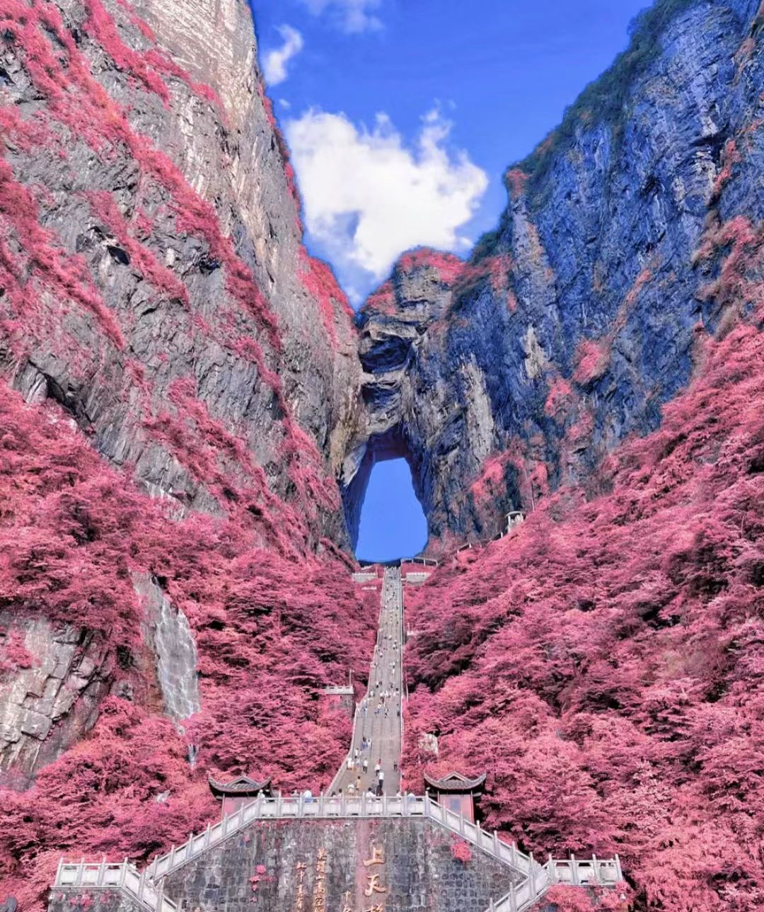 QQ图片20240712143041