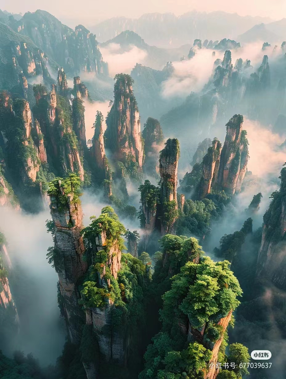 微信图片_20240715151242