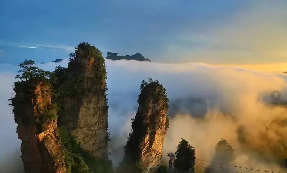 微信图片_20240715092733