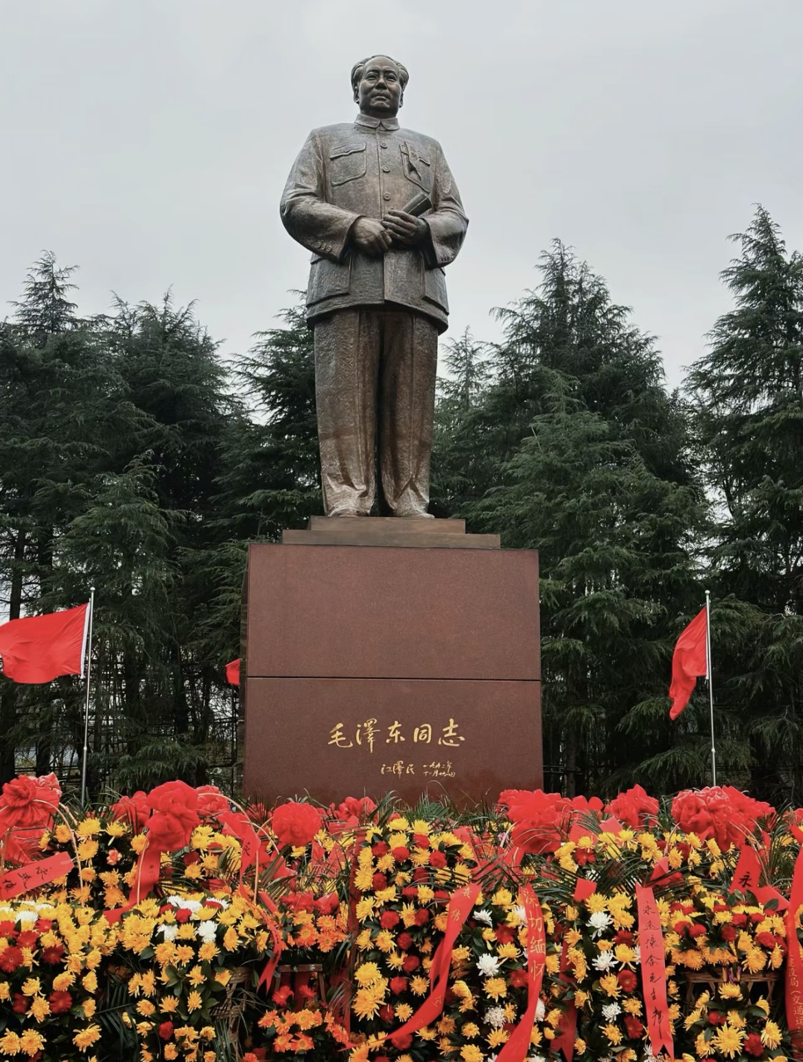 8CF7592D-D783-45AA-8C56-F63838F80154