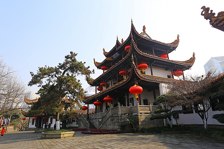 8767.jpg_wh300 8767.jpg_wh300