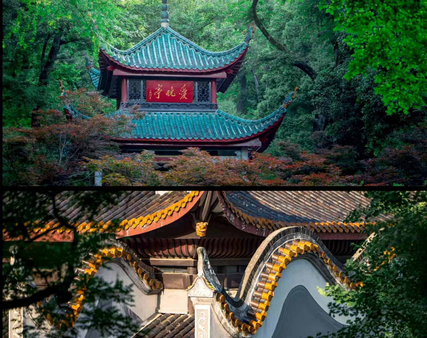 微信图片_20250910151024_4_2