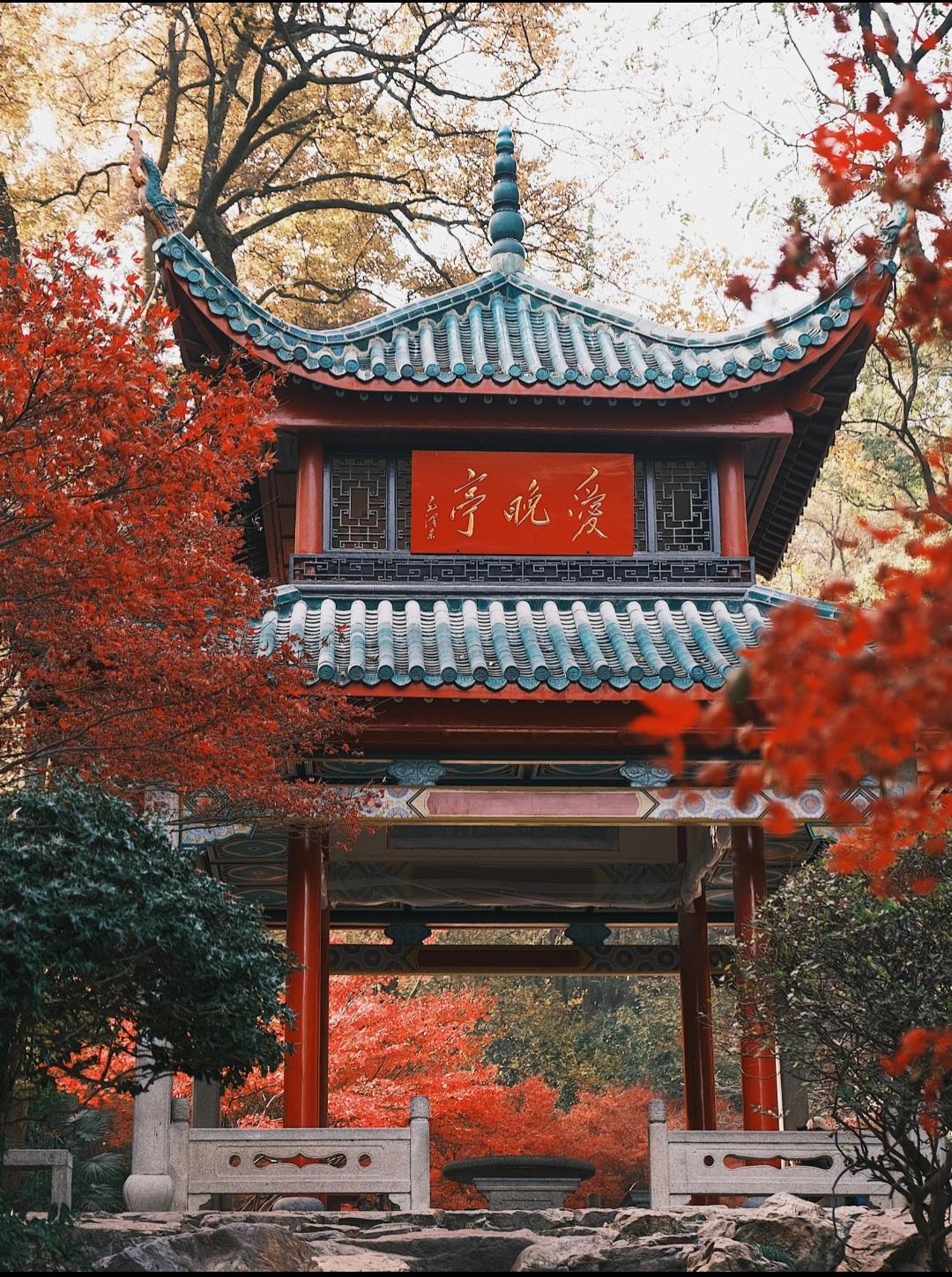 微信图片_20250910145657_5_6