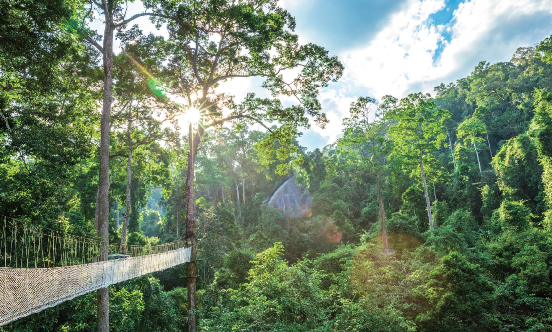 100n0m000000dc9wbF690_C_671_10000_Q90 100n0m000000dc9wbF690_C_671_10000_Q90