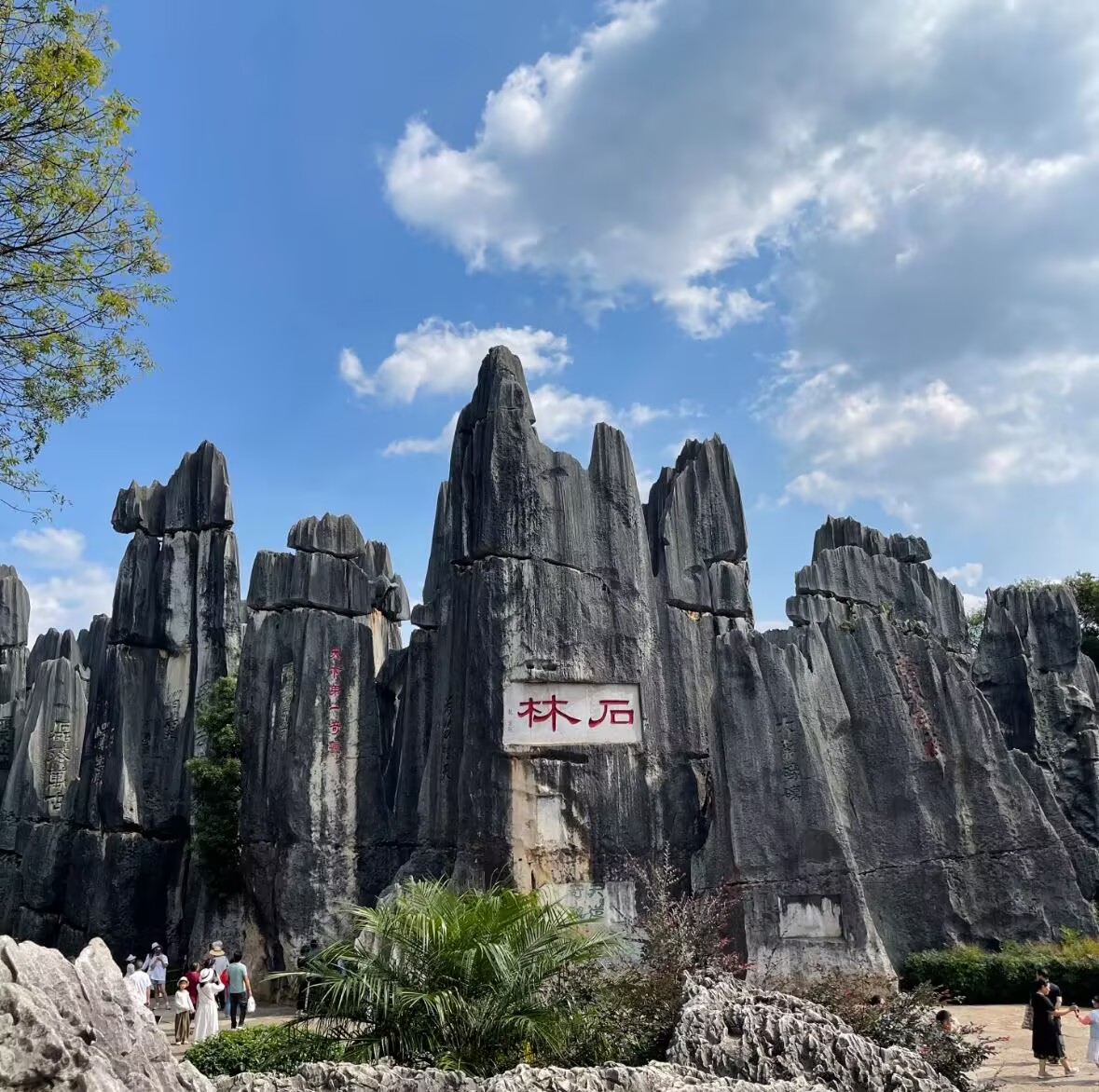 石林 石林