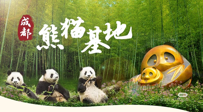 熊猫基地