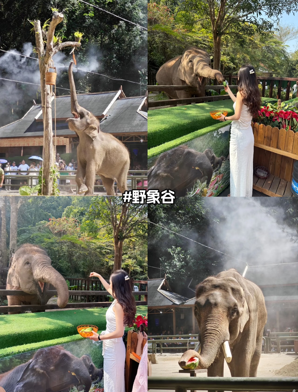 微信图片_20250918221141