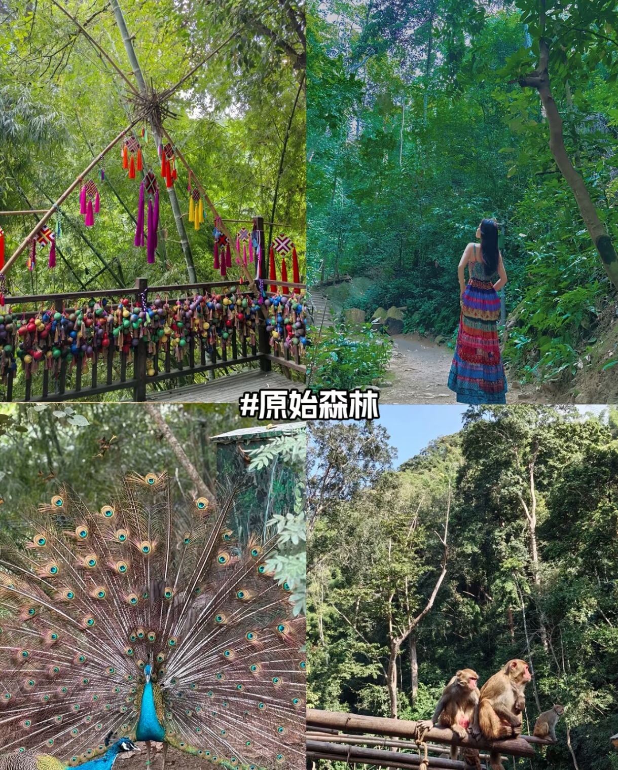 微信图片_20250918221153 微信图片_20250918221153