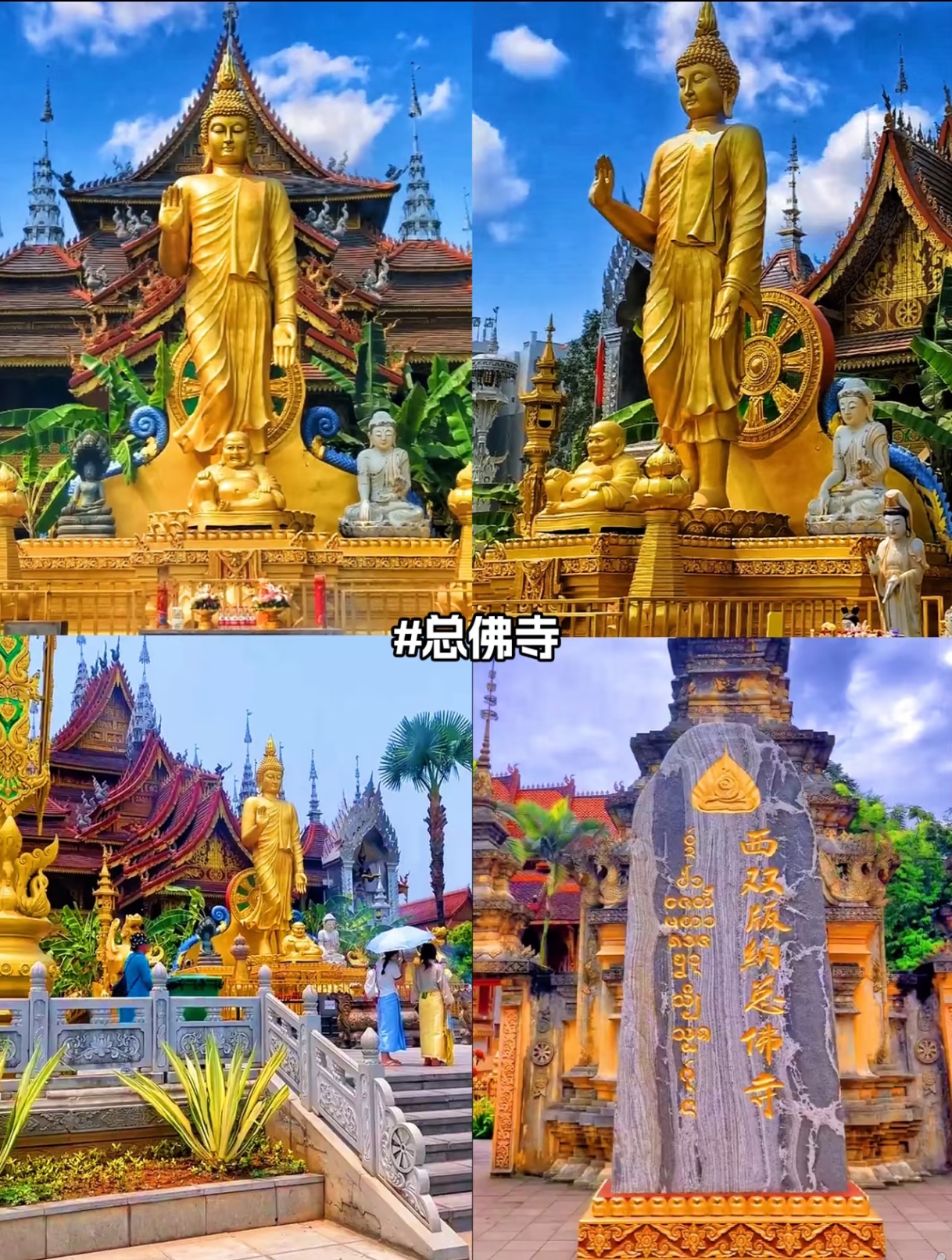 微信图片_20250918221201 微信图片_20250918221201