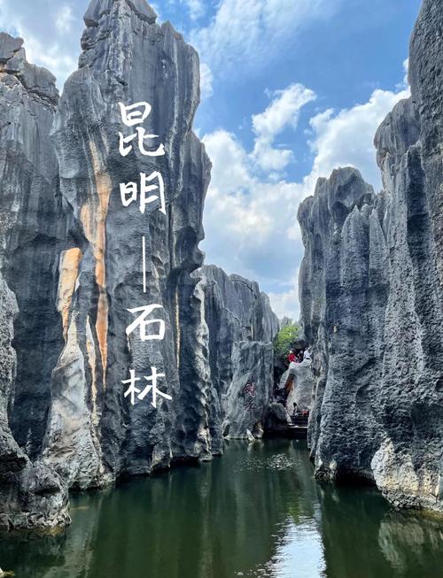 u=117407018,1068518781&fm=253&app=138&f=JPEG