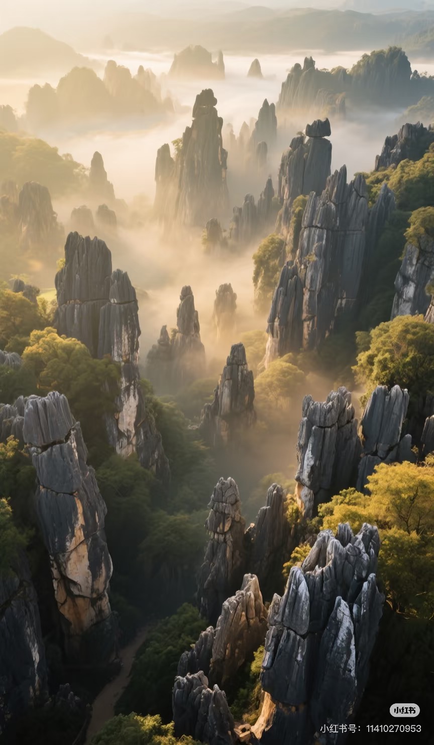 微信图片_20250919145944