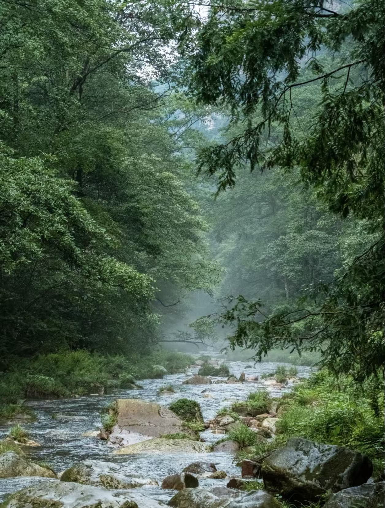 张家界国家森林公园