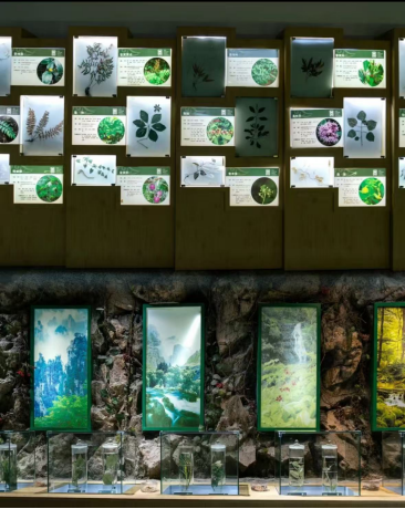 1A17174B0215F3B1F8950B6322C28A0F