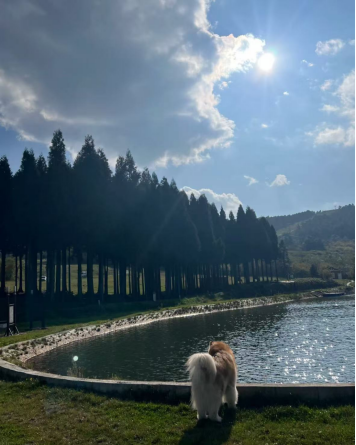 1C9D9BE70B2FDB75C44CEE08E57C114A