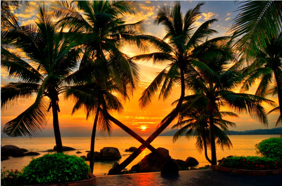 a62bf888b8e34340a98771bad98e6c08