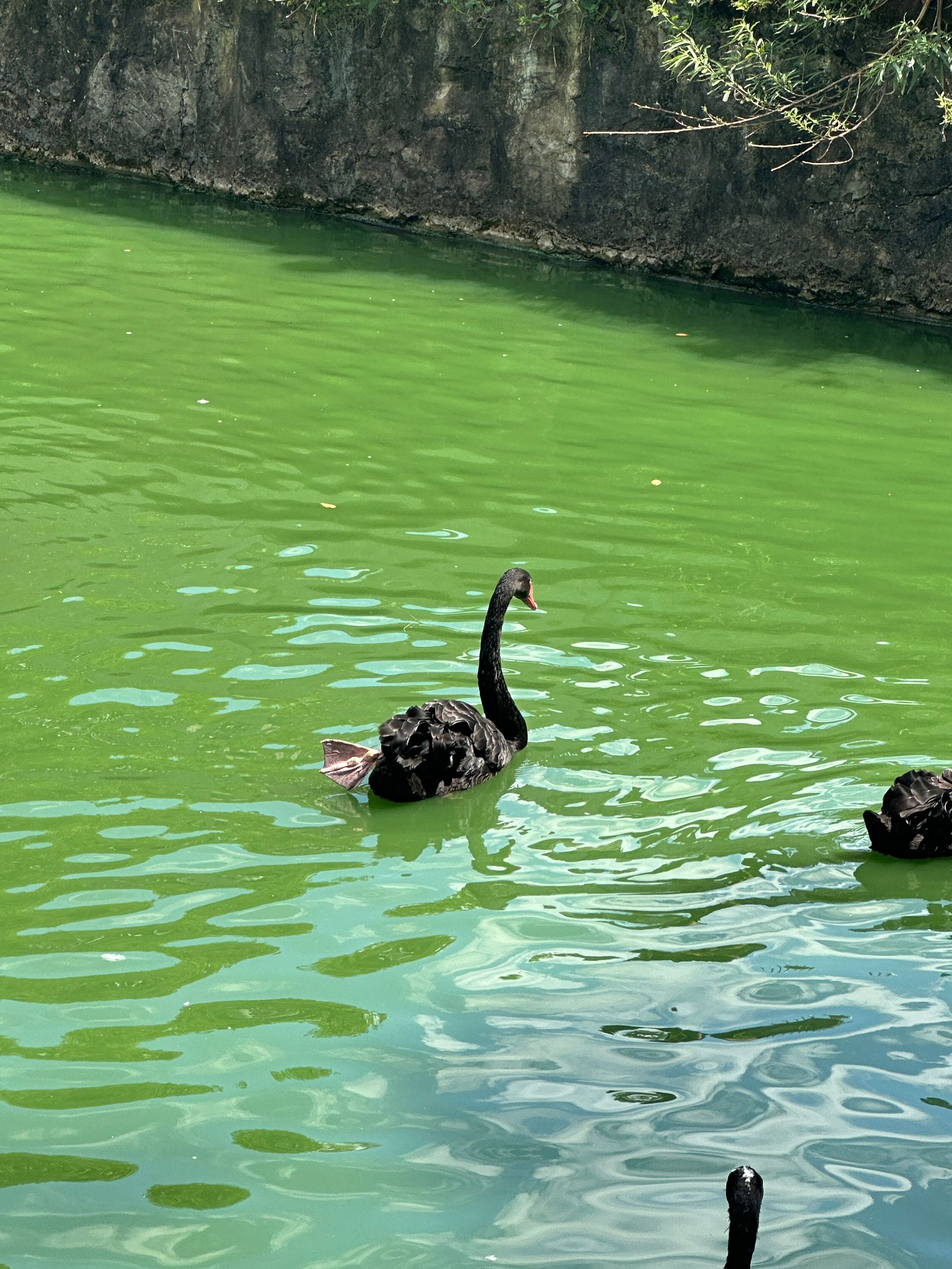 511EF480CB92452C0EBB83A8496F06E5 511EF480CB92452C0EBB83A8496F06E5