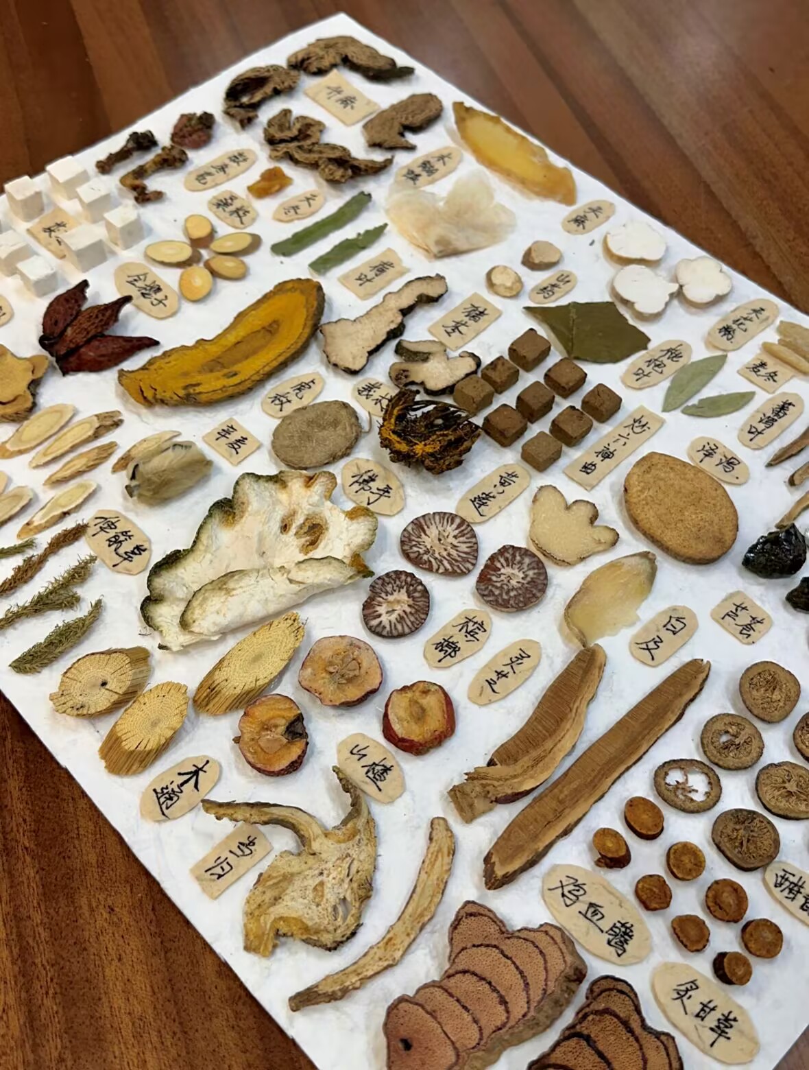 C3D01B5A14CE56182A5C81C7BF5C4644 C3D01B5A14CE56182A5C81C7BF5C4644