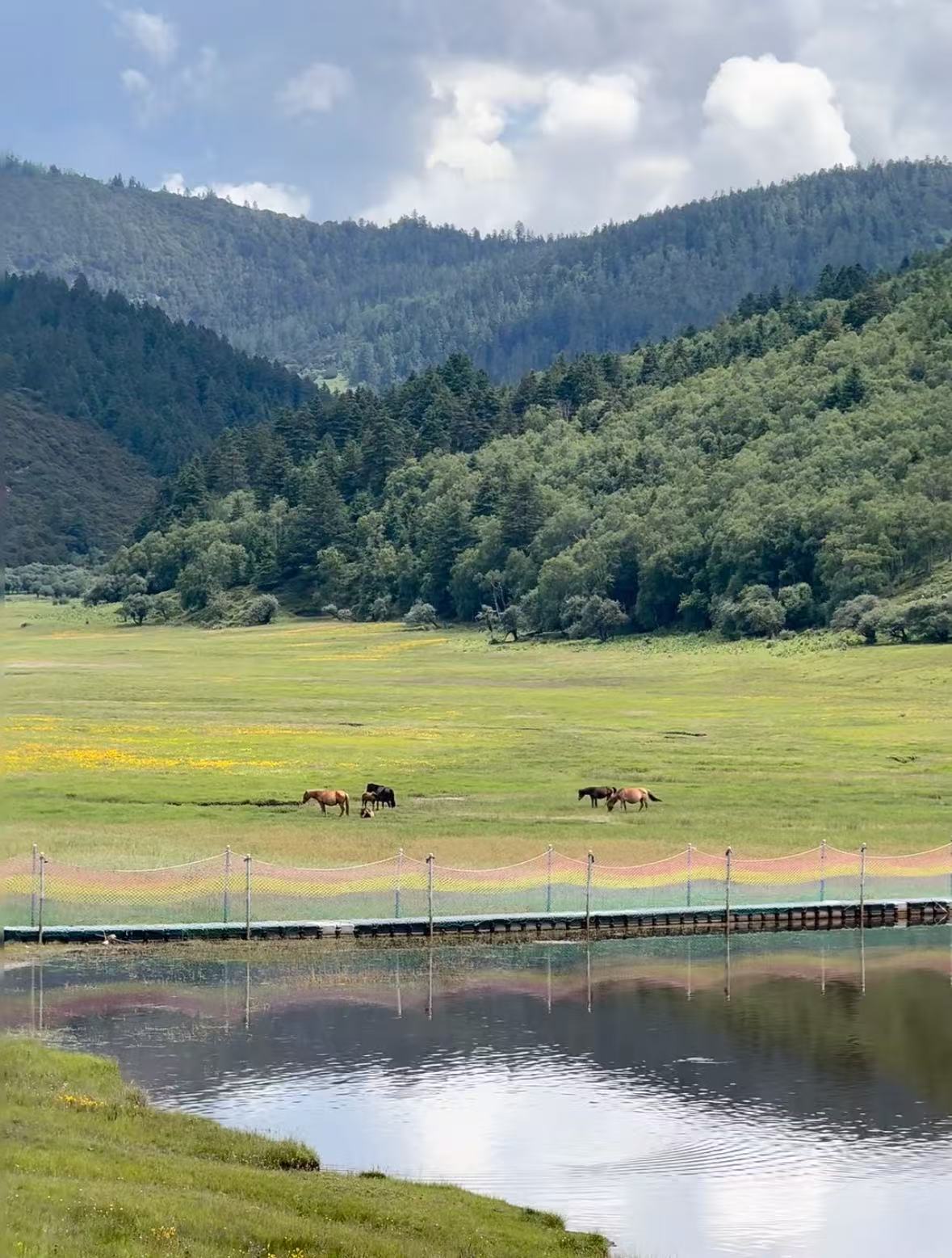 微信图片_20251029154238_30_1